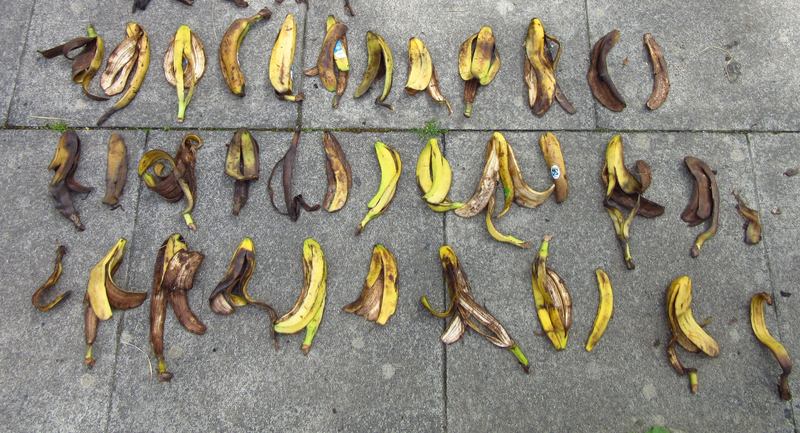 Litter banana skins