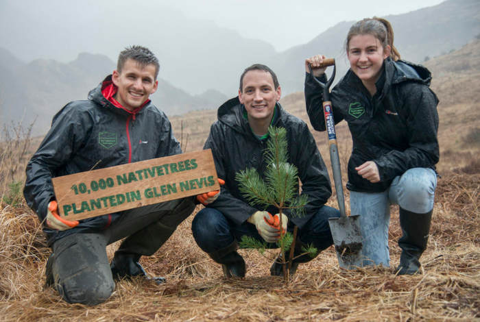 10,000 trees