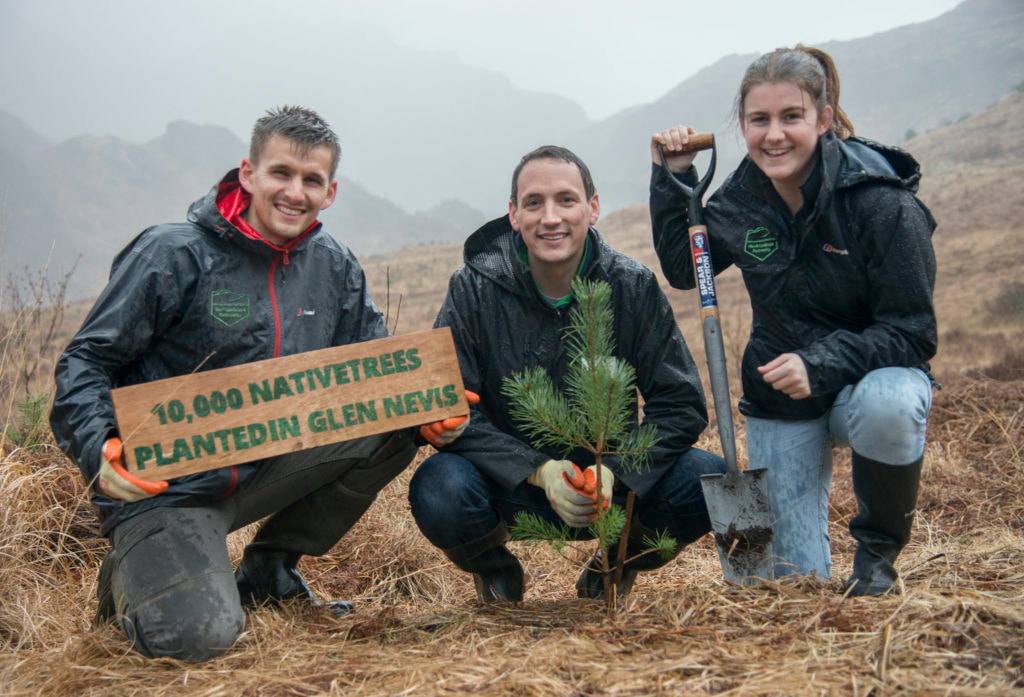 10,000 trees