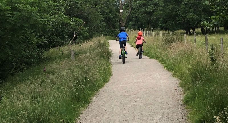 Kids on bikes1