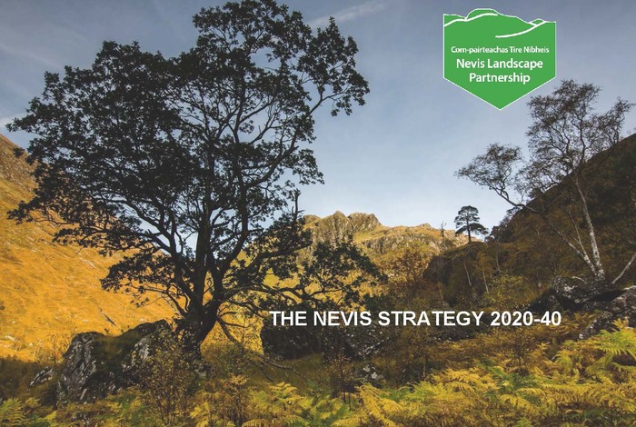 The Nevis Strategy 2020 40 Page 01