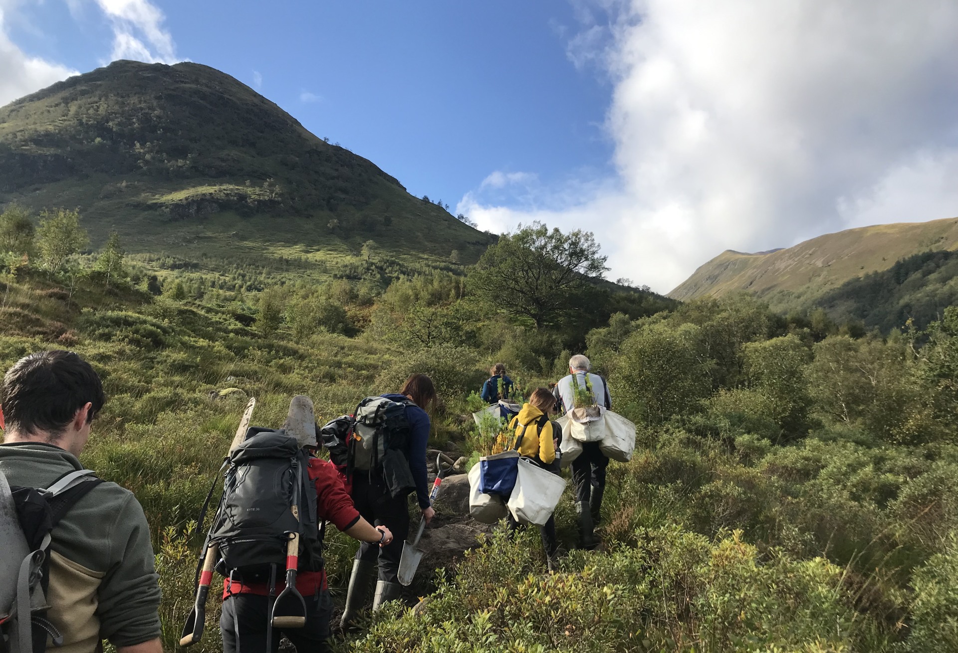 Ranger tree planting