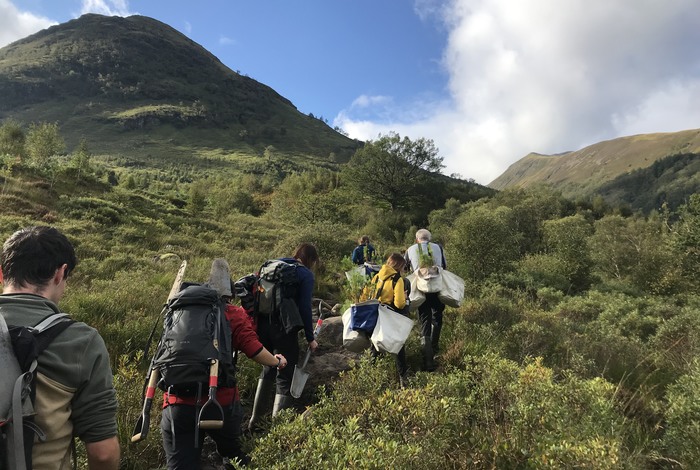 Ranger tree planting