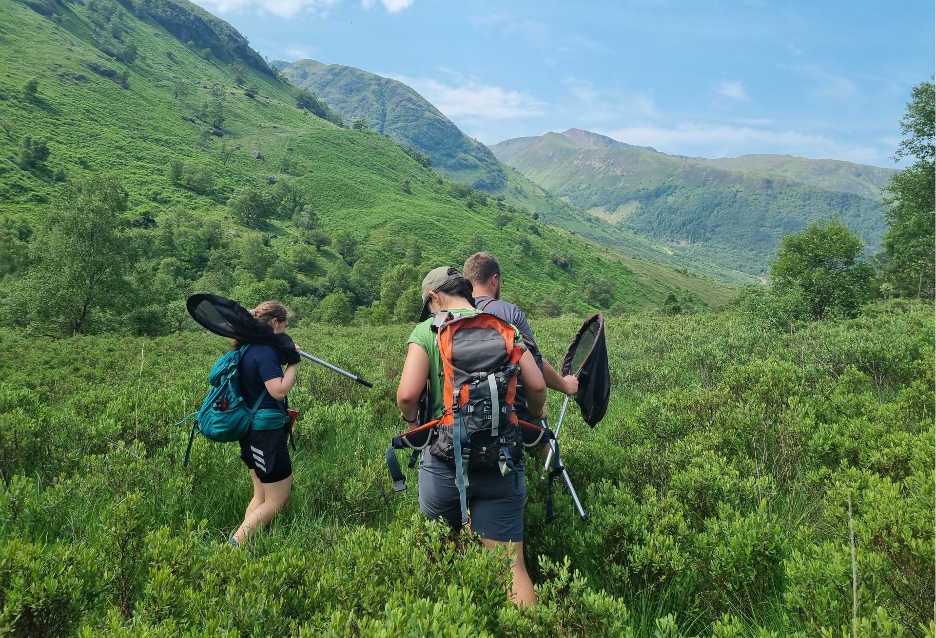 Ranger Butterfly Survey 2023