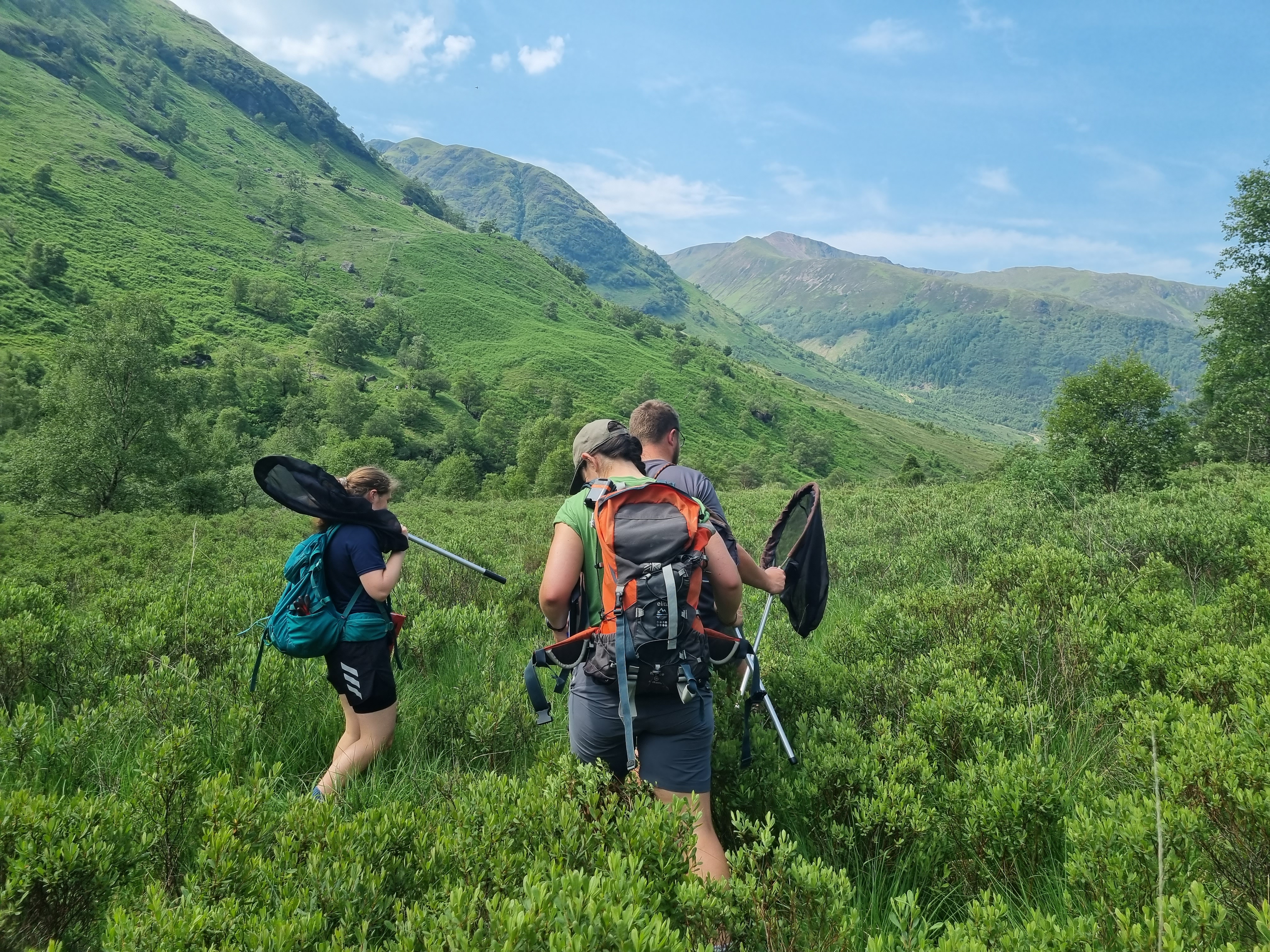 Ranger Butterfly Survey 2023