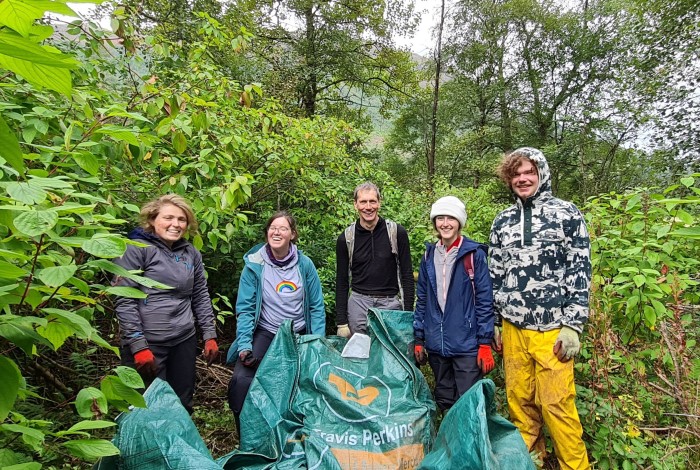 American Skunk Cabbage Volunteering