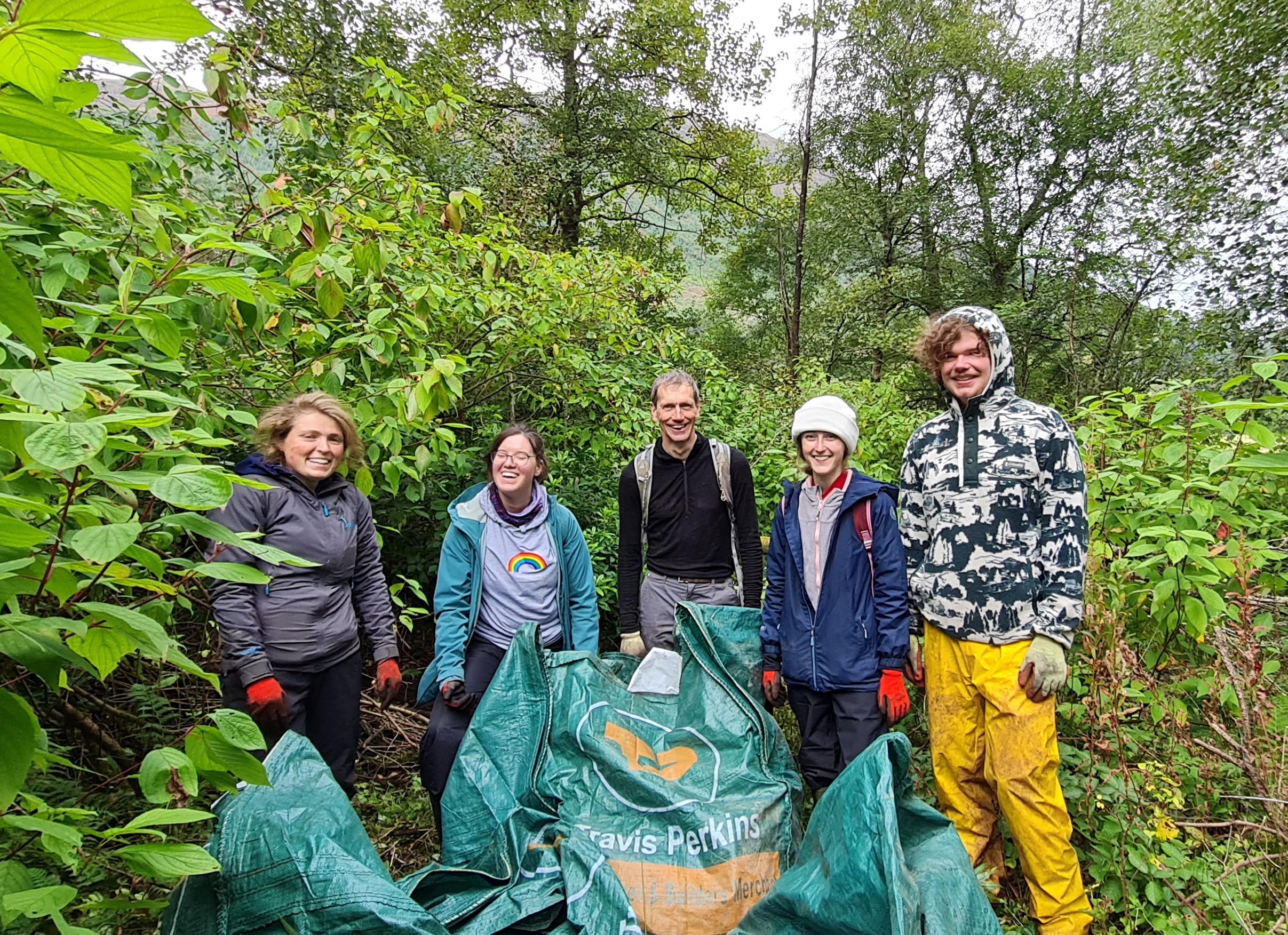 American Skunk Cabbage Volunteering