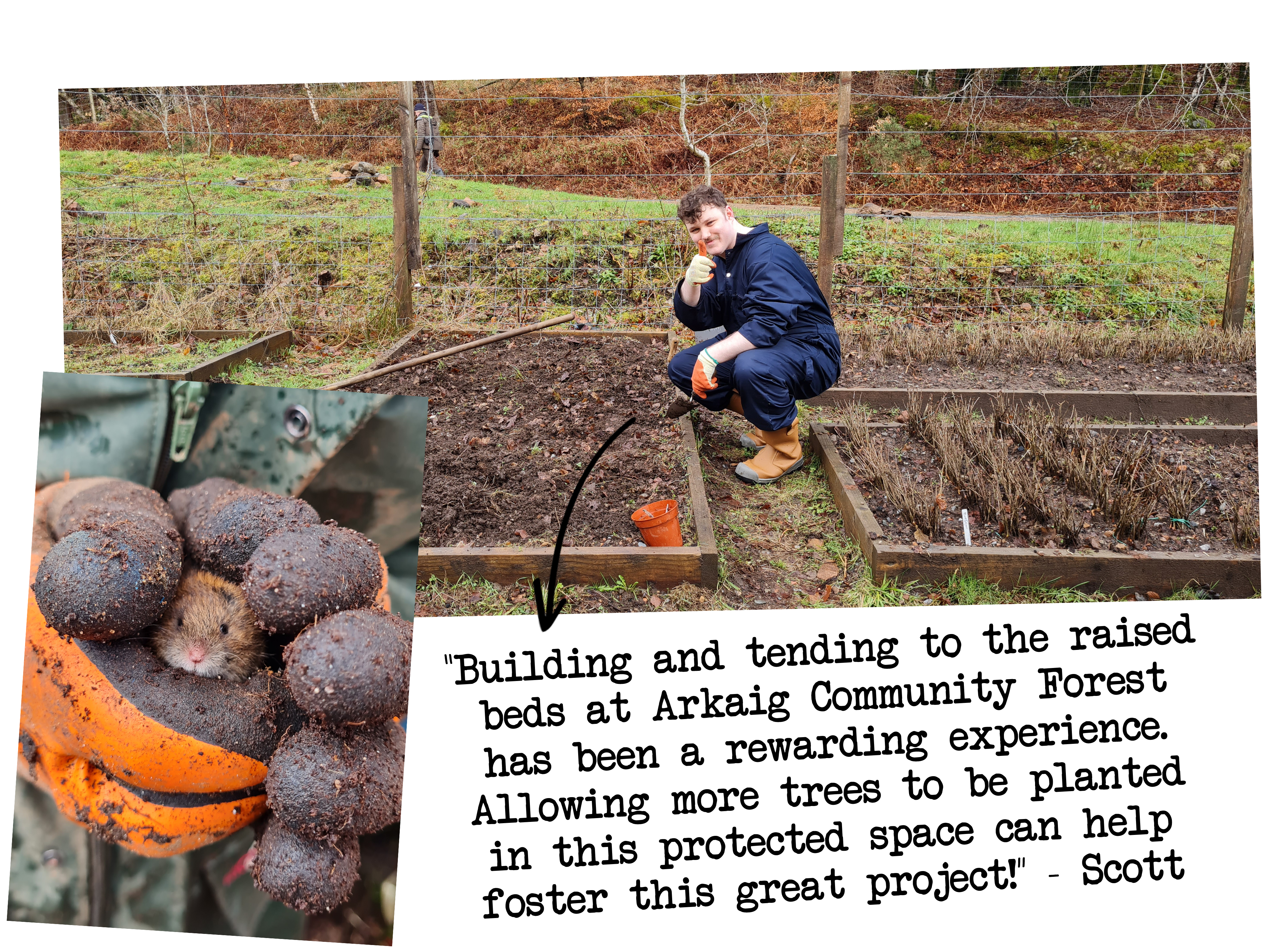 Scott Raised Beds