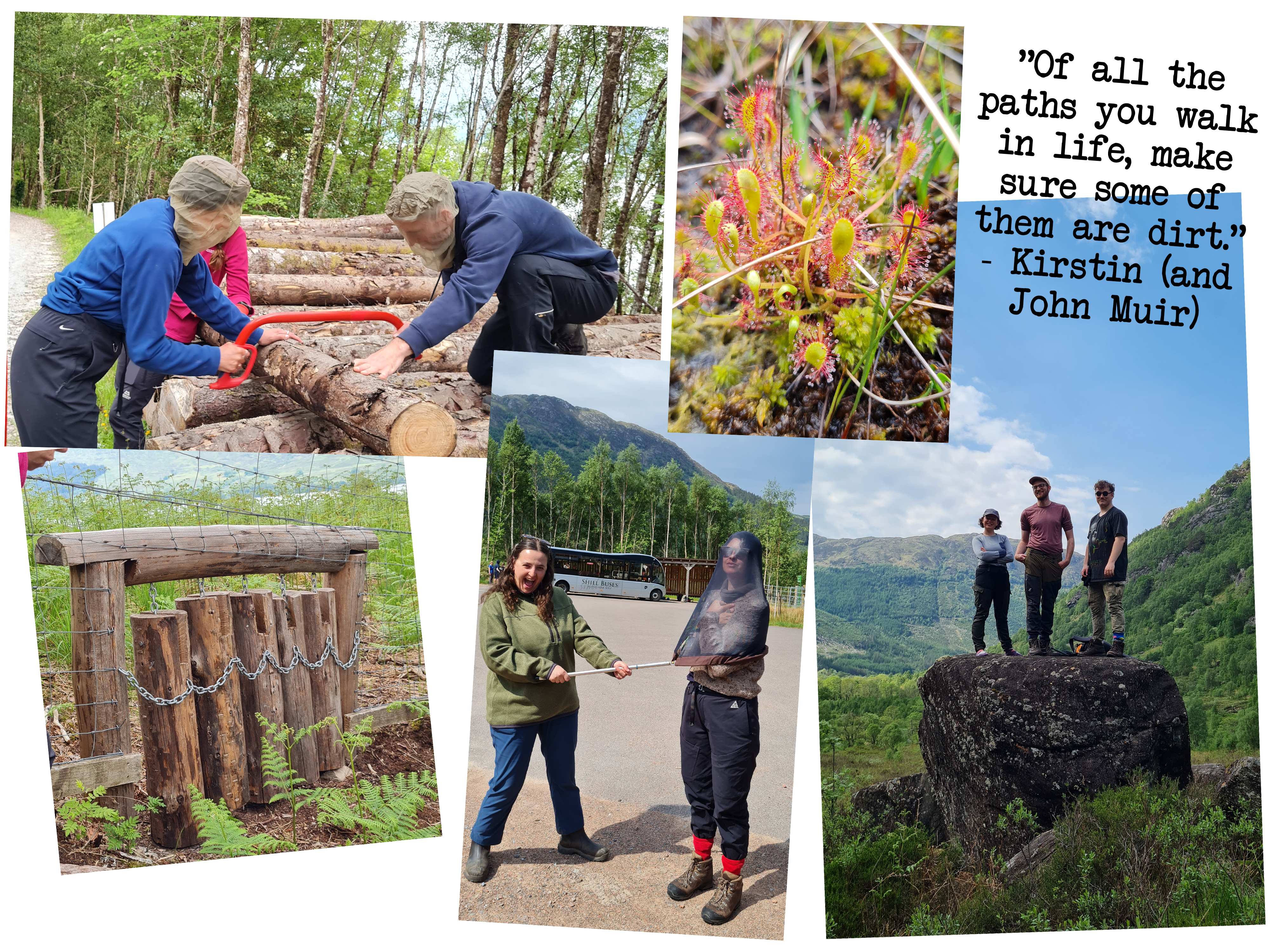 Ranger Course Final Weeks